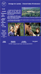 Mobile Screenshot of landas.net